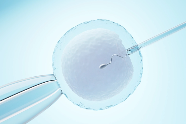 Скидка -15% на криоперенос!