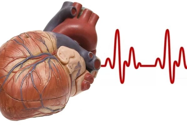 Аритмия сердца: что такое, причины, симптомы, лечение