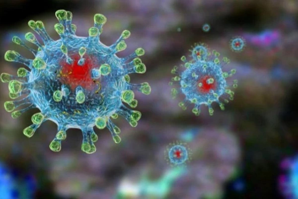 Меры по недопущению распространения заболеваний, вызванных новым коронавирусом