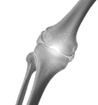 Ортопедия и травматология